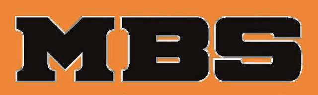 mbs bearings